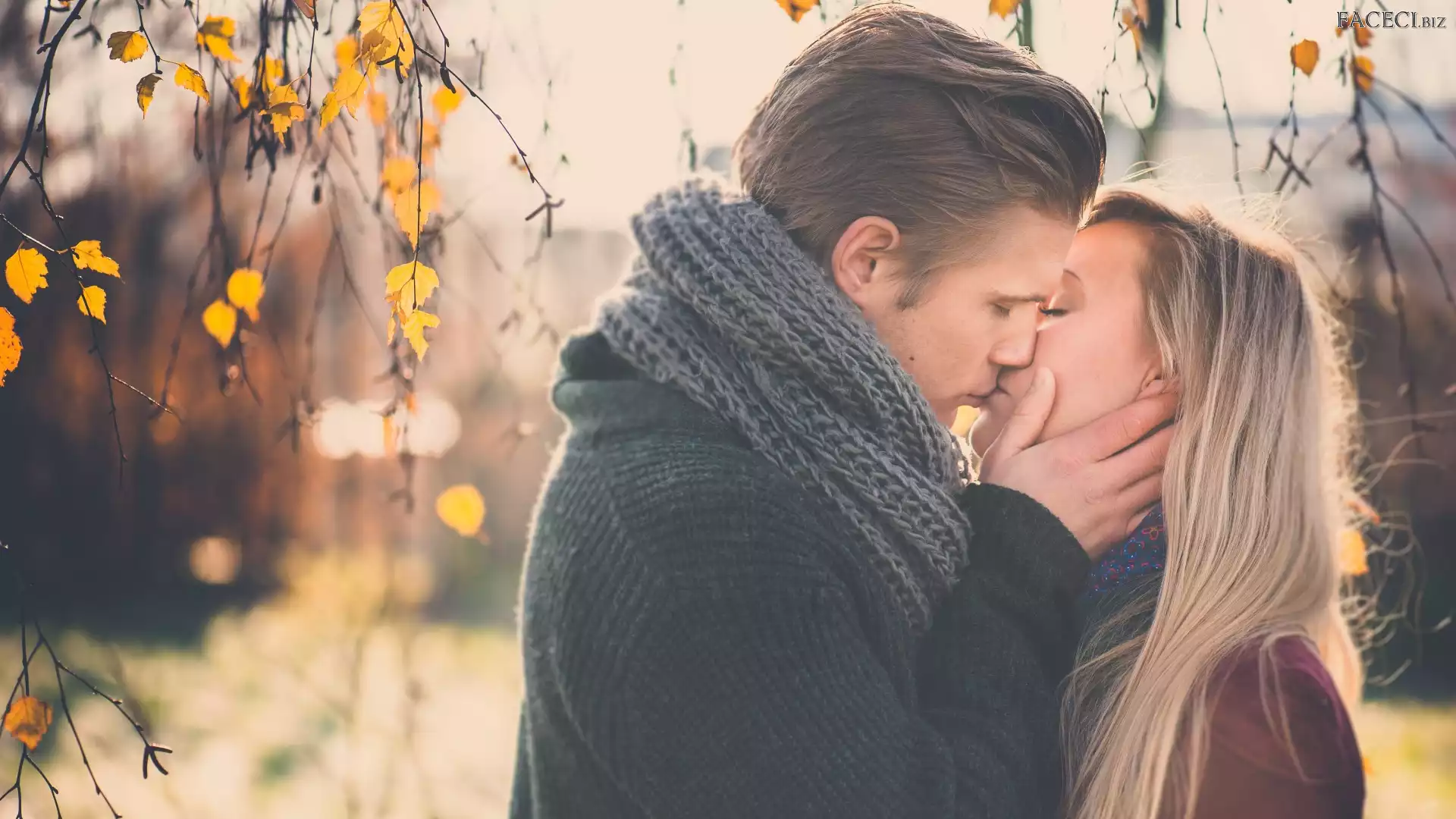 Liście, Mężczyzna, Para, Gałązki, Brzoza, Kobieta, Pocałunek